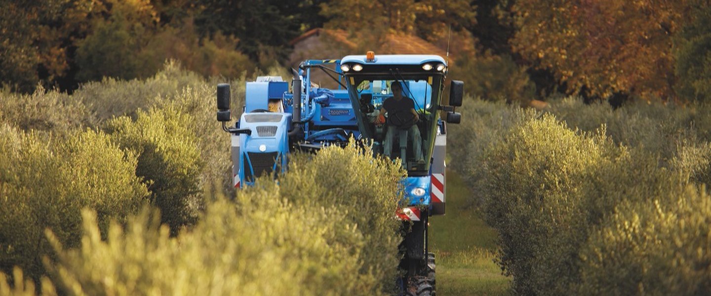 Grape Harvesters New Holland Braud